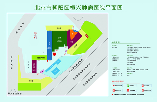 黄色暗网高潮操臂北京市朝阳区桓兴肿瘤医院平面图